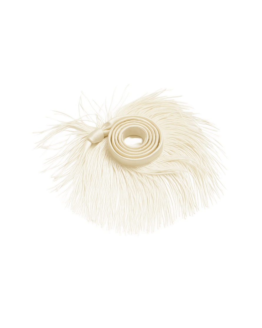 Пояс-боа з бахрамою product image